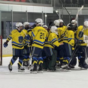 WhatsApp Image 2025-10-30 at 15.11.03_903705e8